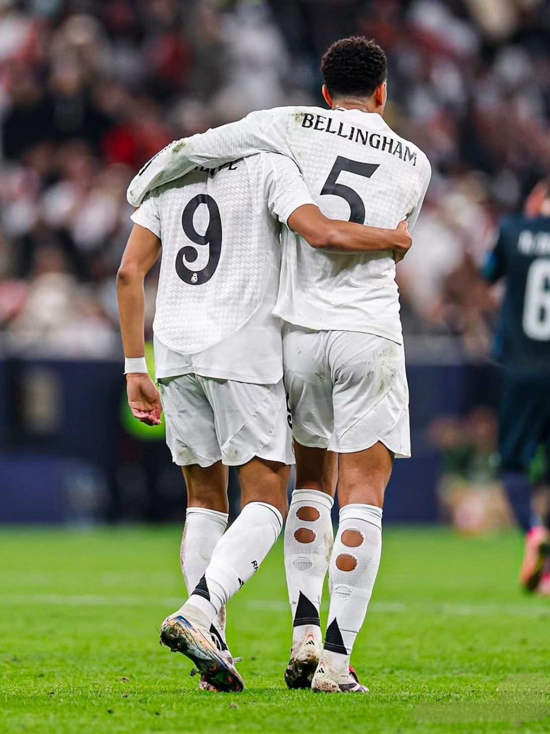 滑雪新星李 滑雪新星李