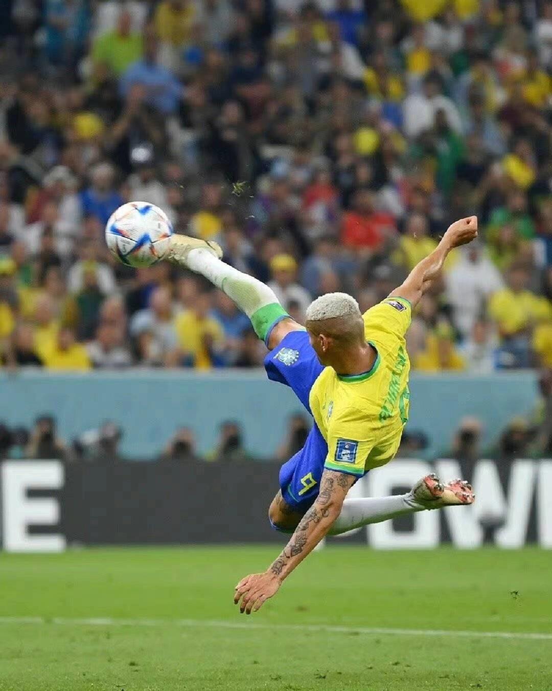 我们有理由 我们有理由